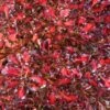 Coprosma Pacific Sunset -Plantes De Jardin Coprosma repens Pacific Sunset 88790 1