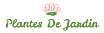 Plantes De Jardin